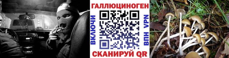 Псилоцибиновые грибы Magic Shrooms  кракен зеркало  Абдулино  даркнет сайт 